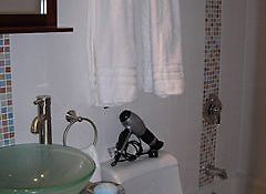 Indian Creek Suites Miami Beach 3* United States Of America